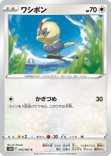 Rufflet 055/067 Time Gazer