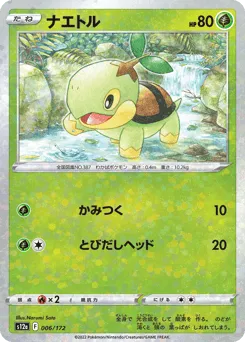 Turtwig 006/172 Reverse Holo VSTAR Universe