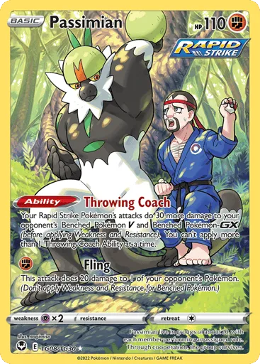 Passimian TG08/TG30 Silver Tempest Trainer Gallery