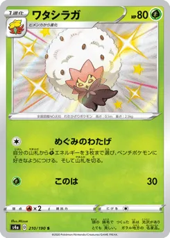 Eldegoss 210/190 Shiny Star V