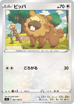 Bidoof 081/100 Star Birth