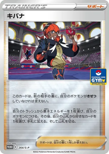 Raihan 264/S-P Sword & Shield Promos