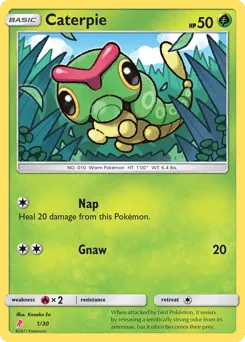 Caterpie 1/30 SM Trainer Kit Lycanroc