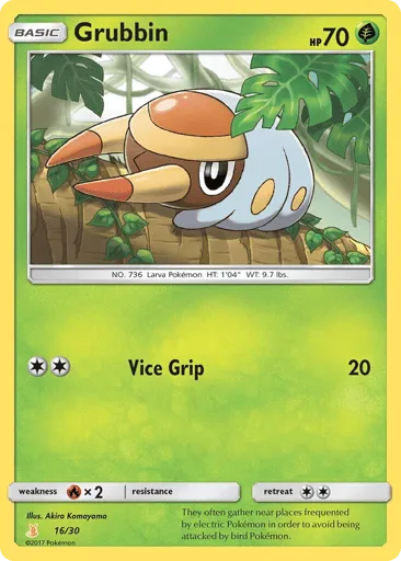 Grubbin 16/30 SM Trainer Kit Alolan Raichu