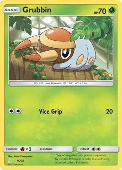 Grubbin 16/30 SM Trainer Kit Alolan Raichu