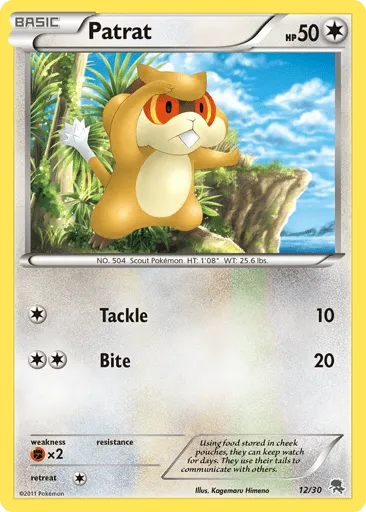 Patrat 12/30 BW Trainer Kit Zoroark
