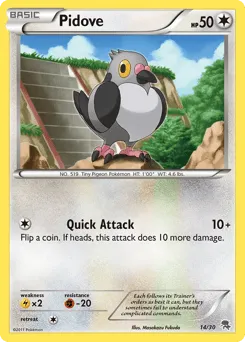 Pidove 14/30 BW Trainer Kit Zoroark