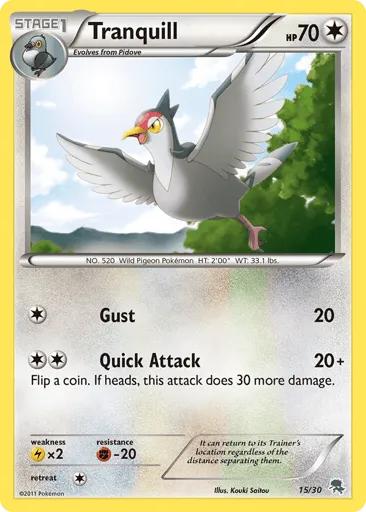 Tranquill 15/30 BW Trainer Kit Zoroark