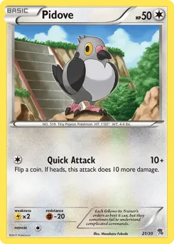 Pidove 21/30 BW Trainer Kit Zoroark