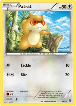 Patrat 29/30 BW Trainer Kit Zoroark