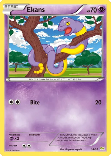 Ekans 16/30 XY Trainer Kit Noivern