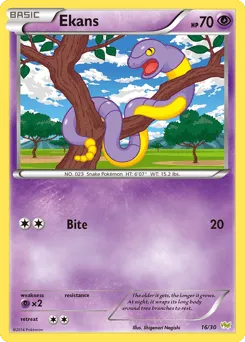 Ekans 16/30 XY Trainer Kit Noivern