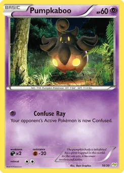 Pumpkaboo 18/30 XY Trainer Kit Noivern
