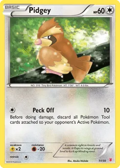 Pidgey 11/30 XY Trainer Kit Wigglytuff