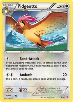 Pidgeotto 2/30 XY Trainer Kit Wigglytuff