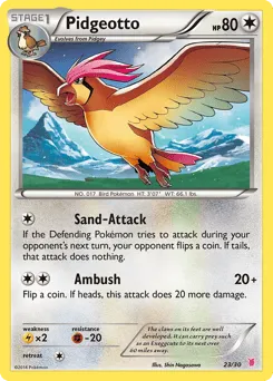 Pidgeotto 23/30 XY Trainer Kit Wigglytuff