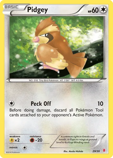 Pidgey 29/30 XY Trainer Kit Wigglytuff