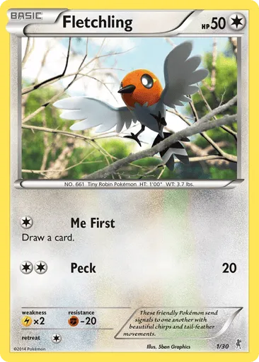 Fletchling 1/30 XY Trainer Kit Bisharp
