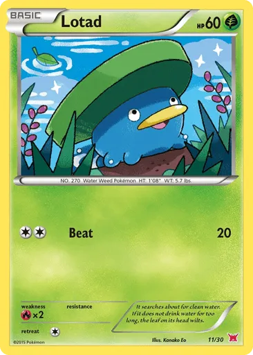 Lotad 11/30 XY Trainer Kit Latias