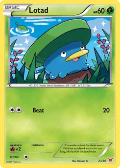 Lotad 23/30 XY Trainer Kit Latias