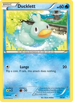Ducklett 24/30 XY Trainer Kit Suicune