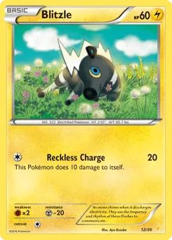 Blitzle 12/30 XY Trainer Kit Pikachu Libre