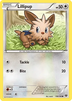 Lillipup 108/146 XY
