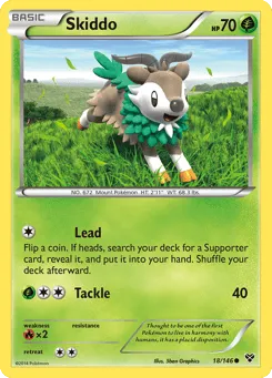 Skiddo 18/146 XY
