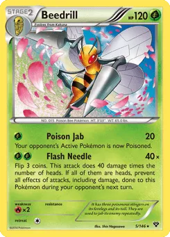 Beedrill 5/146 XY