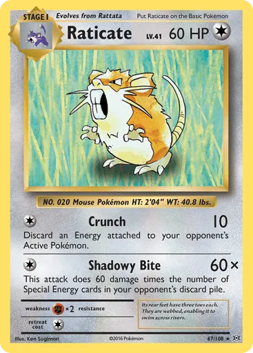 Raticate 67/108 Evolutions