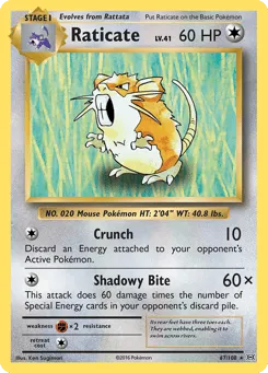 Raticate 67/108 Evolutions