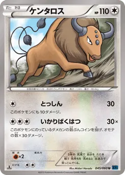 Tauros 045/060 Collection X