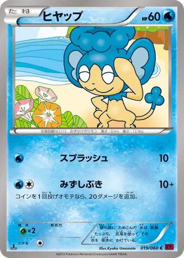 Panpour 019/060 Collection Y