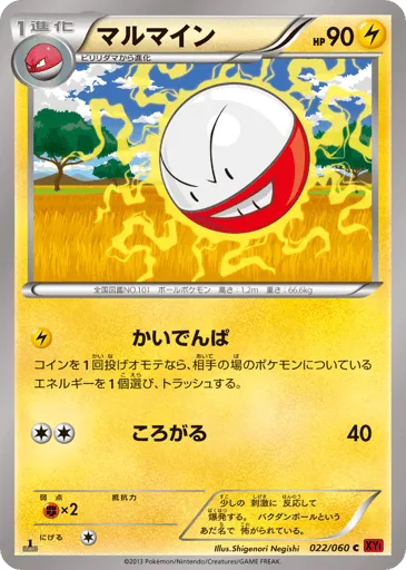 Electrode 022/060 Collection Y