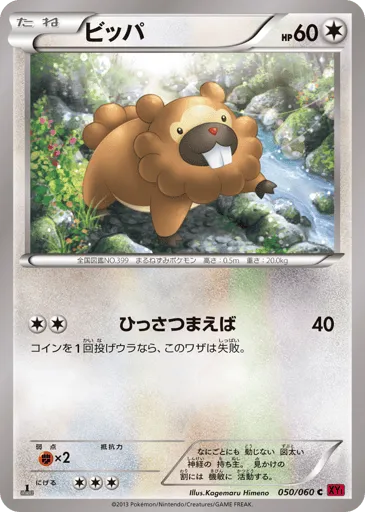 Bidoof 050/060 Collection Y