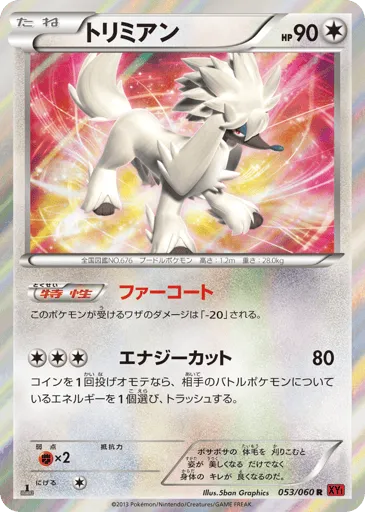 Furfrou 053/060 Collection Y