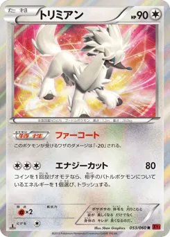 Furfrou 053/060 Collection Y