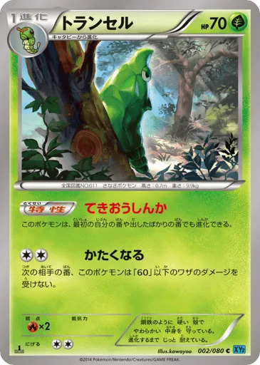 Metapod 002/080 Wild Blaze