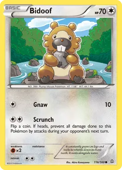 Bidoof 116/160 Primal Clash