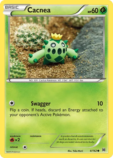 Cacnea 4/162 BREAKthrough