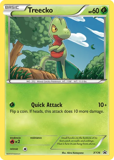 Treecko XY36 XY Black Star Promos