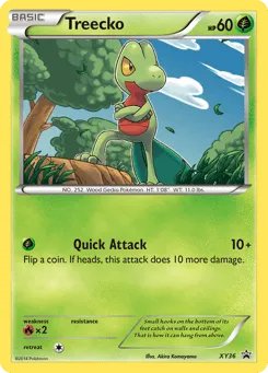 Treecko XY36 XY Black Star Promos