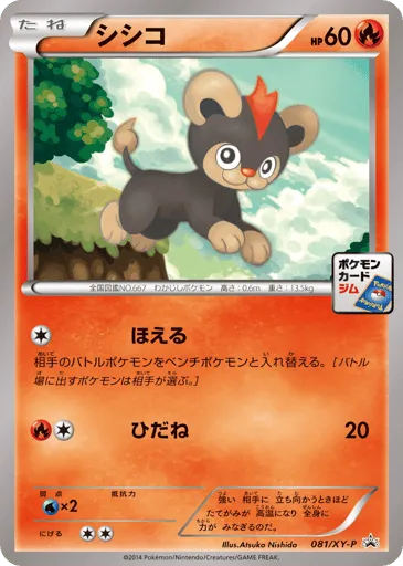 Litleo 081/XY-P XY Promos